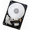 Western Digital(HGST) Deskstar7K1000.B/3.5inch/1TB/SATA/7200rpm/キャッシュ16MB (HDT721010SLA360)