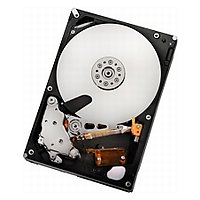 HGST Ultrastar A7K2000/3.5inch/2TB/SATA/7200rpm/キャッシュ32MB (HUA722020ALA330)画像