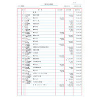 BSLシステム研究所 BS-3004 汎用出納帳 (BS-3004)画像