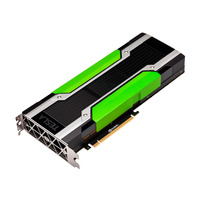 NVIDIA Tesla P40-24GB PCI-e Passive (NVTP40-24G)画像