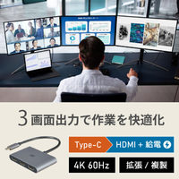 RATOC Systems トリプルディスプレイアダプター(最大4K60Hz・PD対応) (RS-UCHD3-PD)画像
