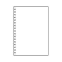 ヒサゴ A4白紙30穴 FSC2049 (FSC2049)画像