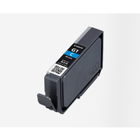 CANON PFI-G1C キヤノンインクタンク PFI-G1C (4184C001)画像