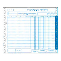 ヒサゴ BP1715 チェーンストア統一伝票(IV型) (BP1715)画像