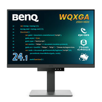 BENQ BenQ プログラミングRDシリーズ 24.1型モニター RD240Q (RD240Q)画像