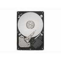 SEAGATE Barracuda LP/1000GB/Cash32MB/Serial ATA 300 (ST31000520AS)画像