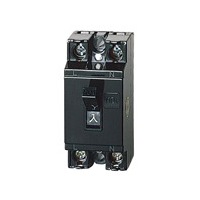 パナソニック 安全ブレーカHB型 2PIE 6A BS11106 (BS11106)画像