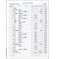 BSLシステム研究所 BS-3001 現金出納帳 (BS-3001)画像