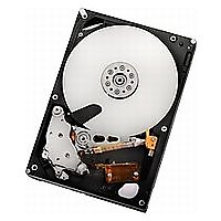 HGST Deskstar7K2000/3.5inch/2TB/SATA/7200rpm/キャッシュ32MB (HDS722020ALA330)画像