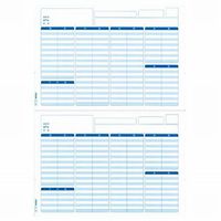 EPSON 支給明細書(A4単票ミシン目入り 1000枚) (Q33B)画像