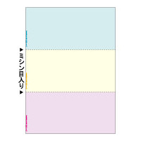 BP2012 マルチプリンタ帳票 A4 カラー 3面画像