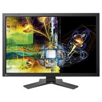29.8型カラー液晶モニター(DD200付属)