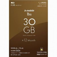 日本通信 b-mobile Biz SIMパッケージ(DC/マルチ) (BM-GTPLBC-12MC)画像