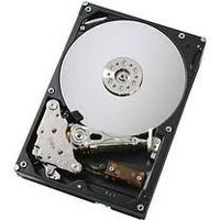IBM - Hard drive - 300 GB - hot-swap - 2.5" - SAS-2 - 10000 rpm